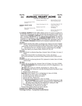 AUSUAL HEART ACHE 202 February 14, 2003 Bay Colt Strawfly Special SI 97