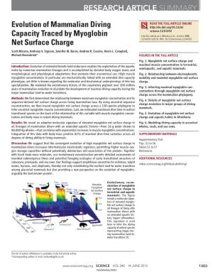 Evolution of Mammalian Diving Capacity Traced by Myoglobin Net