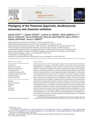 Phylogeny of the Pluteaceae (Agaricales, Basidiomycota): Taxonomy and Character Evolution