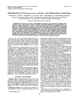 Identification of Streptococcus Sobrinus with Monoclonal Antibodies