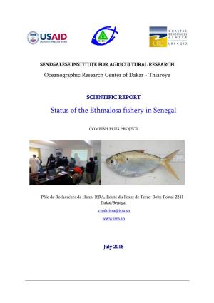 Status of the Ethmalosa Fishery in Senegal
