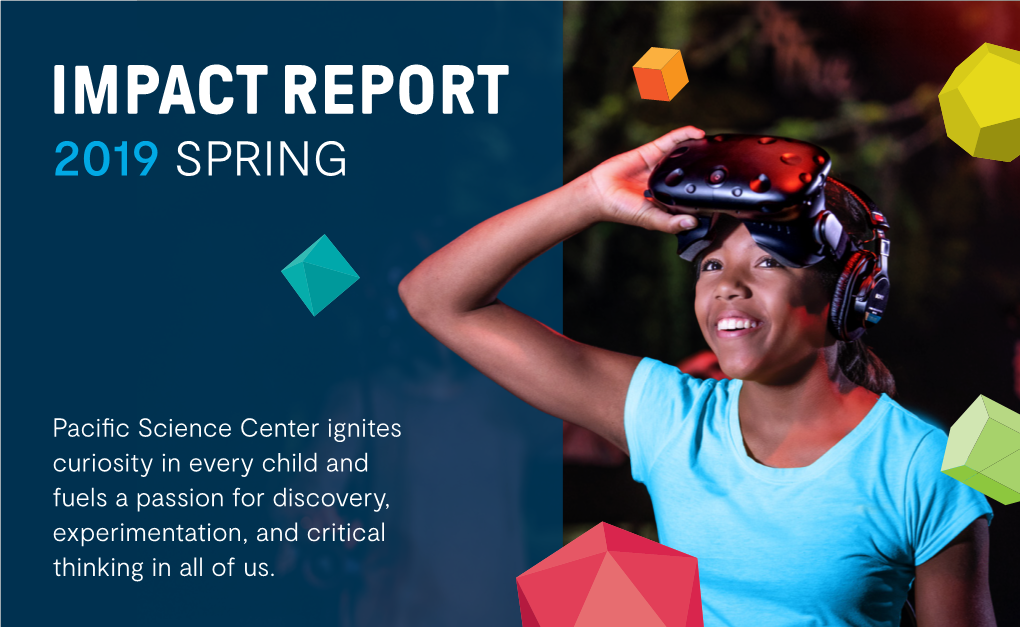 Impact Report 2019 Spring