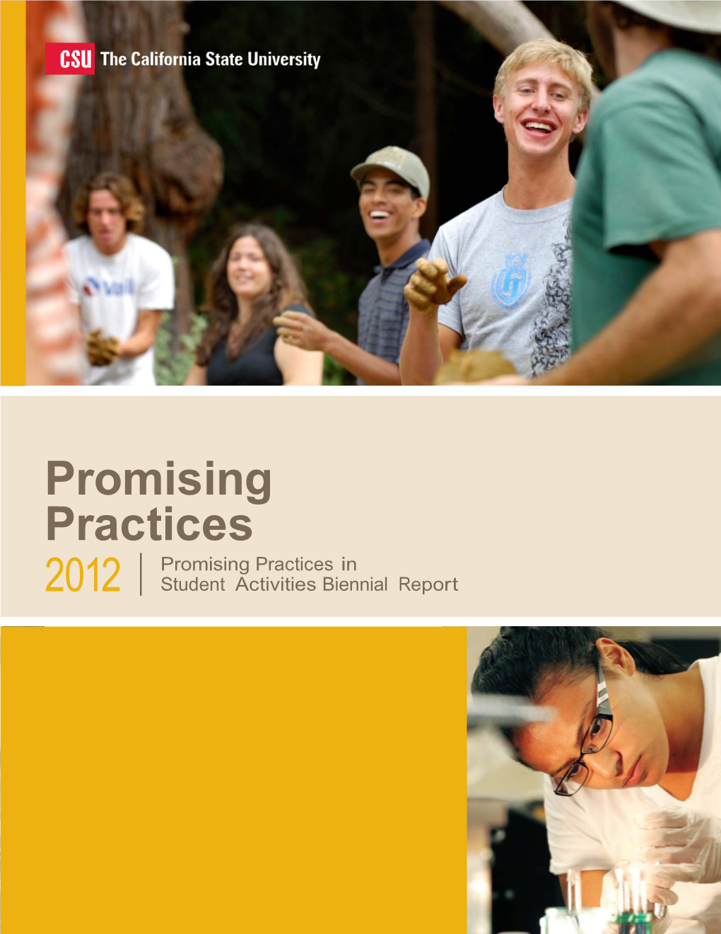 2012 Promising Practices In