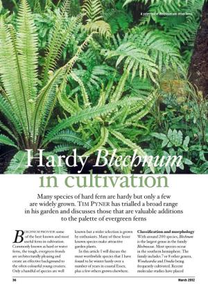 Hardy Blechnum in Cultivation Many Species of Hard Fern Are Hardy but Only a Few Are Widely Grown