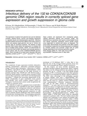 Infectious Delivery of the 132 Kb CDKN2A/CDKN2B Genomic DNA Region Results in Correctly Spliced Gene Expression and Growth Suppression in Glioma Cells