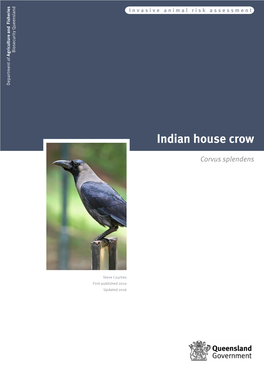 Indian House Crow Risk Assessment
