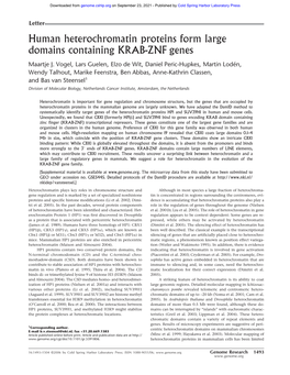 Human Heterochromatin Proteins Form Large Domains Containing KRAB-ZNF Genes