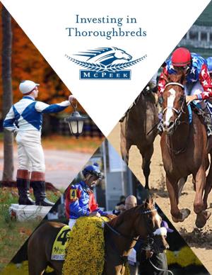 Investing in Thoroughbreds the Journey