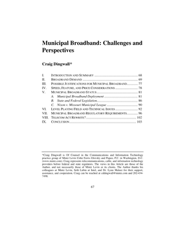 Municipal Broadband: Challenges and Perspectives