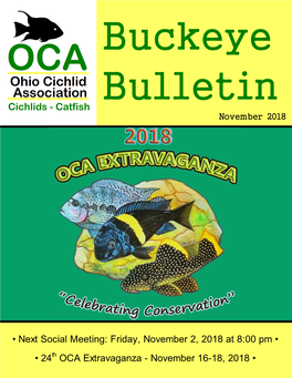 Oca Social Meeting Programs