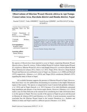 Observations of Siberian Weasel Mustela Sibirica in Api-Nampa Conservation Area, Darchula District and Humla District, Nepal