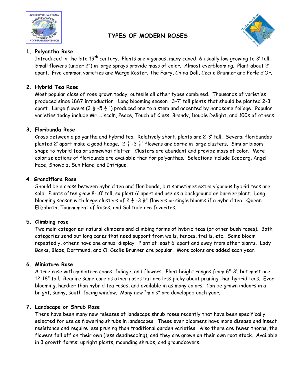 Types of Modern Roses & Pruning Tips