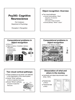 Psy393: Cognitive  Ventral Visual Pathway: “What”  Disorders: the Agnosias Neuroscience  Fmri Evidence  Two Types of Object Recognition Prof
