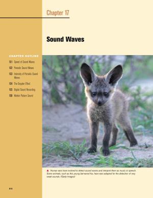 Chapter 17 Sound Waves