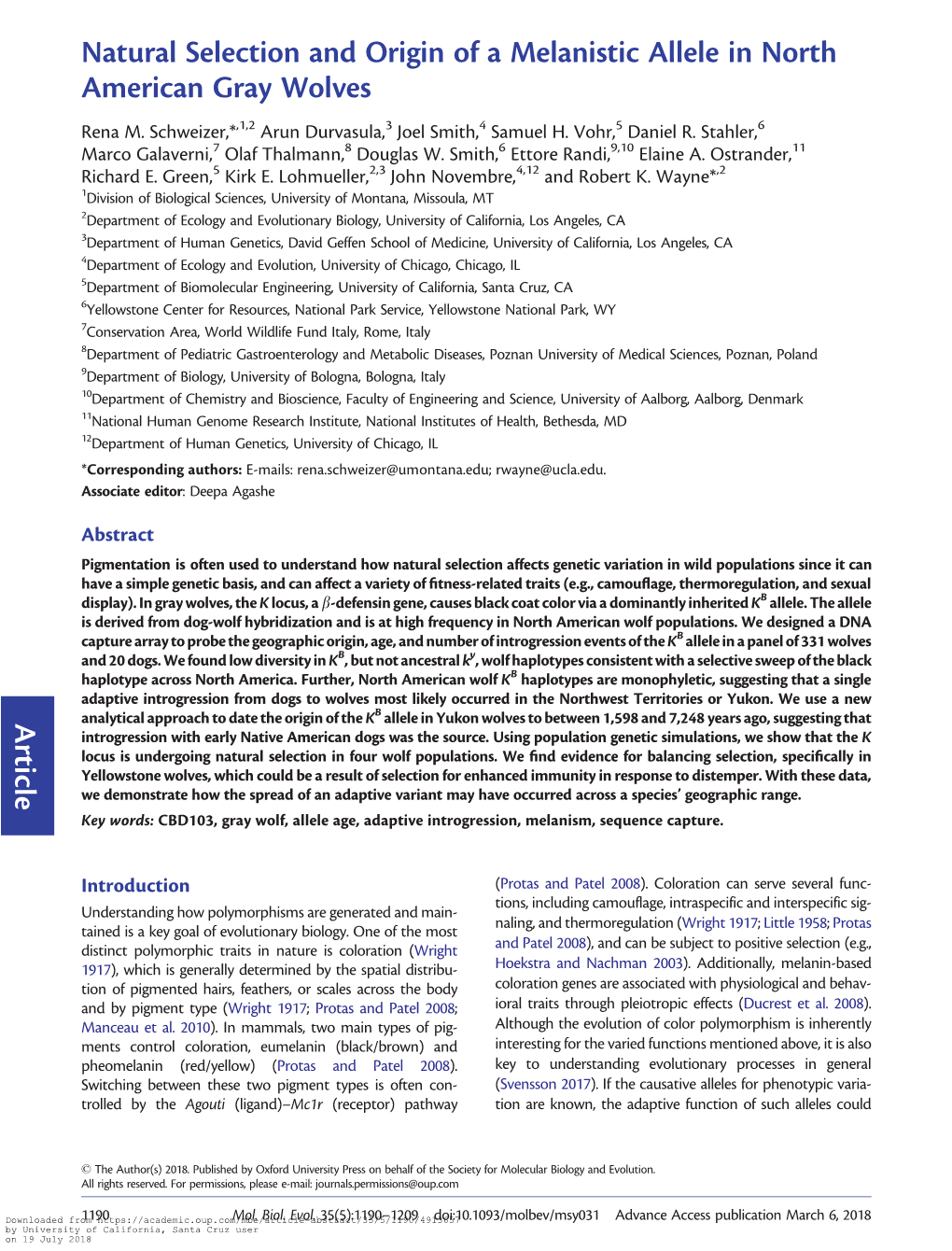 Natural Selection and Origin of a Melanistic Allele in North American Gray Wolves Rena M