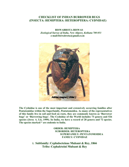 Checklist of Indian Burrower Bugs (Insecta: Hemiptera: Heteroptera: Cydnidae)