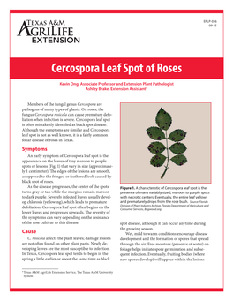 Cercospora Leaf Spot of Roses