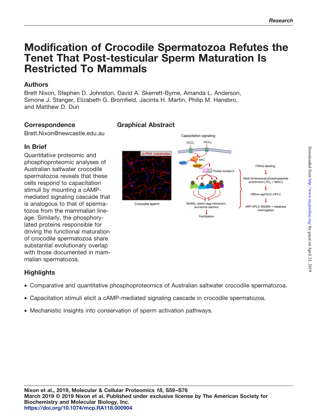 Modification of Crocodile Spermatozoa Refutes the Tenet That Post-Testicular Sperm Maturation Is Restricted to Mammals