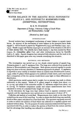 Water Balance in the Aquatic Bugs Notonecta Glauca L