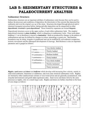 Sedimentary Structures & Palaeocurrent Analysis