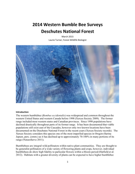 2014 Western Bumble Bee Surveys Deschutes National Forest March 2015 Laurie Turner, Forest Wildlife Biologist