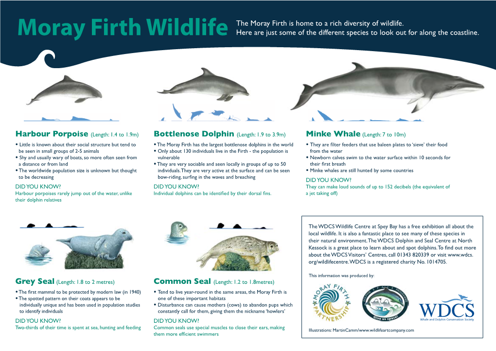 Moray Firth Wildlife the Moray Firth Is Home to a Rich Diversity of Wildlife