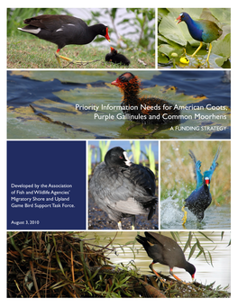 Priority Information Needs for American Coots, Purple Gallinules and Common Moorhens a FUNDING STRATEGY
