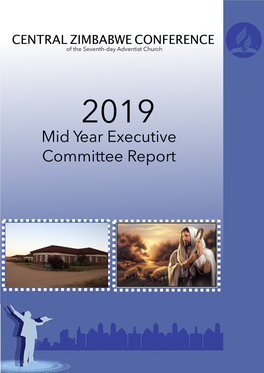 2019 Mid Year Report