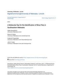 A Molecular Key for the Identification of Blow Flies in Southeastern Nebraska