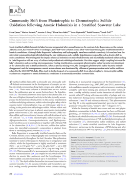 Community Shift from Phototrophic to Chemotrophic Sulfide Oxidation