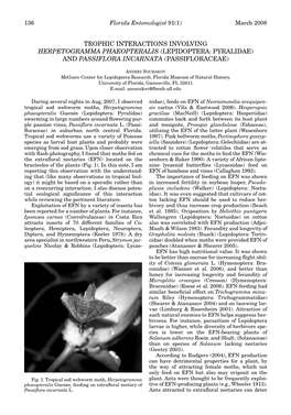 Trophic Interactions Involving Herpetogramma Phaeopteralis (Lepidoptera: Pyralidae) and Passiflora Incarnata (Passifloraceae)