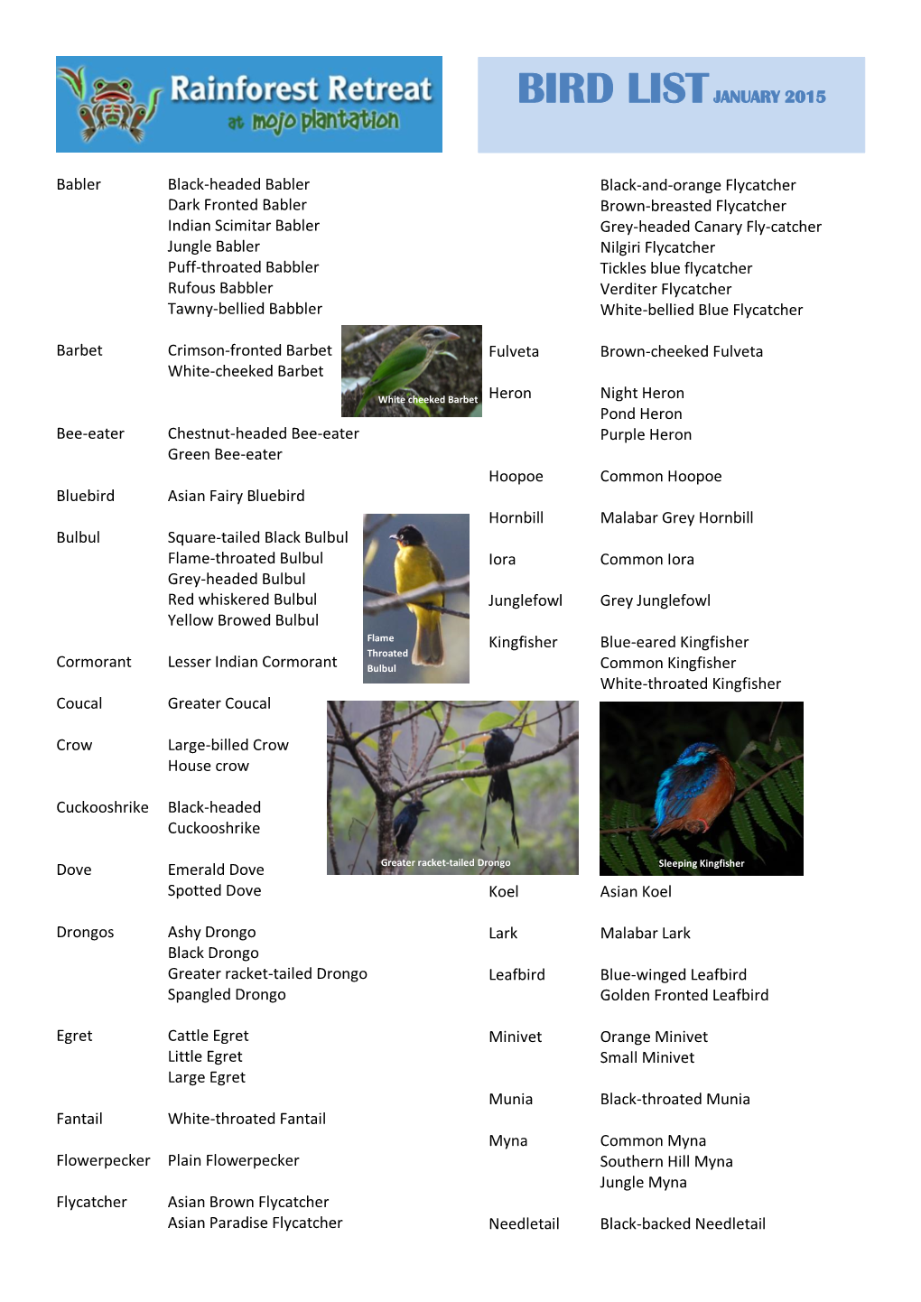 Bird List January 2015