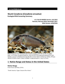 Corydoras Arcuatus) Ecological Risk Screening Summary