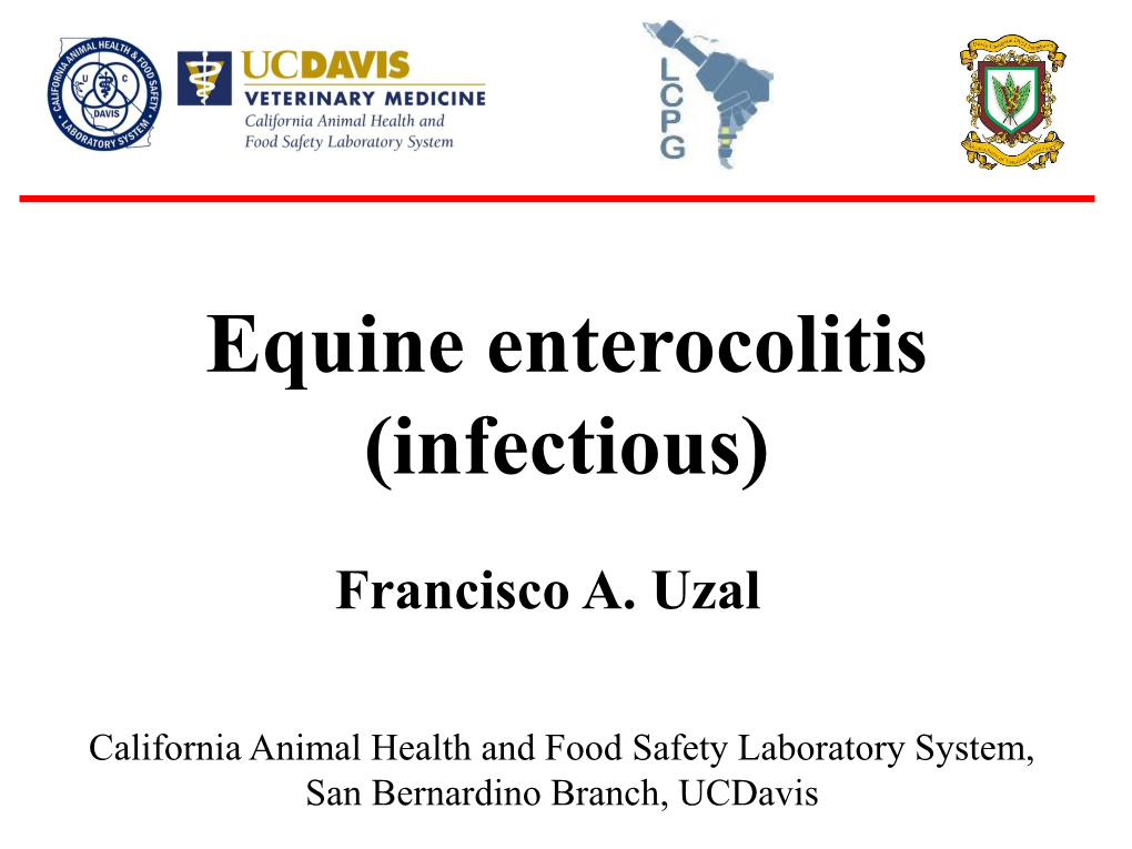 Equine Enterocolitis (Infectious)