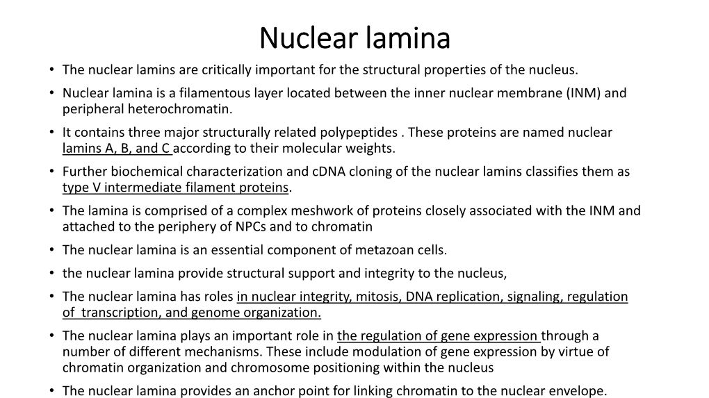 Nuclear Lamina • the Nuclear Lamins Are Critically Important for the Structural Properties of the Nucleus