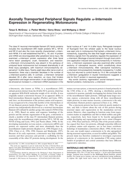 Internexin Expression in Regenerating Motoneurons