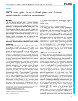 GATA Transcription Factors in Development and Disease Mathieu Tremblay*, Oraly Sanchez-Ferras* and Maxime Bouchard‡