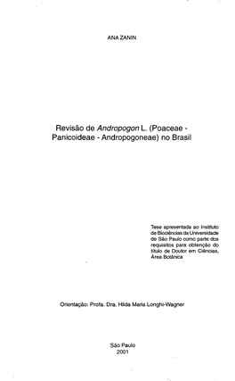 Revisão De Andropogon L. (Poaceae
