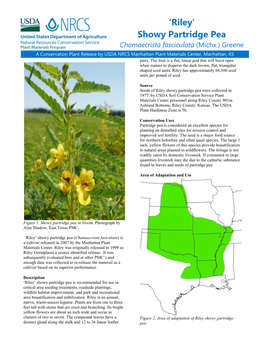 Chamaecrista Fasciculata (Michx.) Greene a Conservation Plant Release by USDA NRCS Manhattan Plant Materials Center, Manhattan, KS Pairs