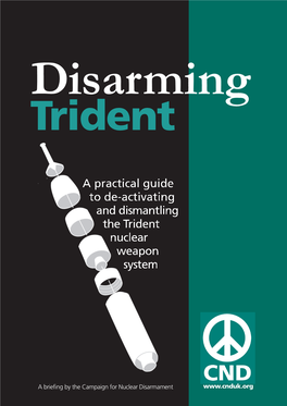 Disarming Trident Is Not an Impossible Task and Outlines How This Process Can Be Achieved in Eight Specific Phases Over Four Years