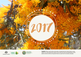 Annual Calendar 2017.Pdf