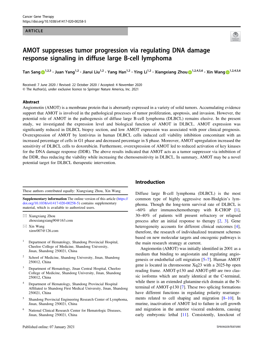 AMOT Suppresses Tumor Progression Via Regulating DNA Damage Response Signaling in Diffuse Large B-Cell Lymphoma
