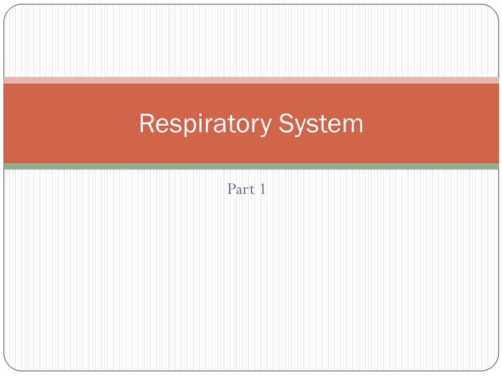 Introduction to the Respiratory System