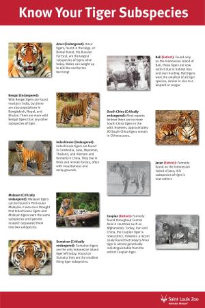 Extinct): Found Only Subspecies of Tigers Alive on the Indonesian Island of Today