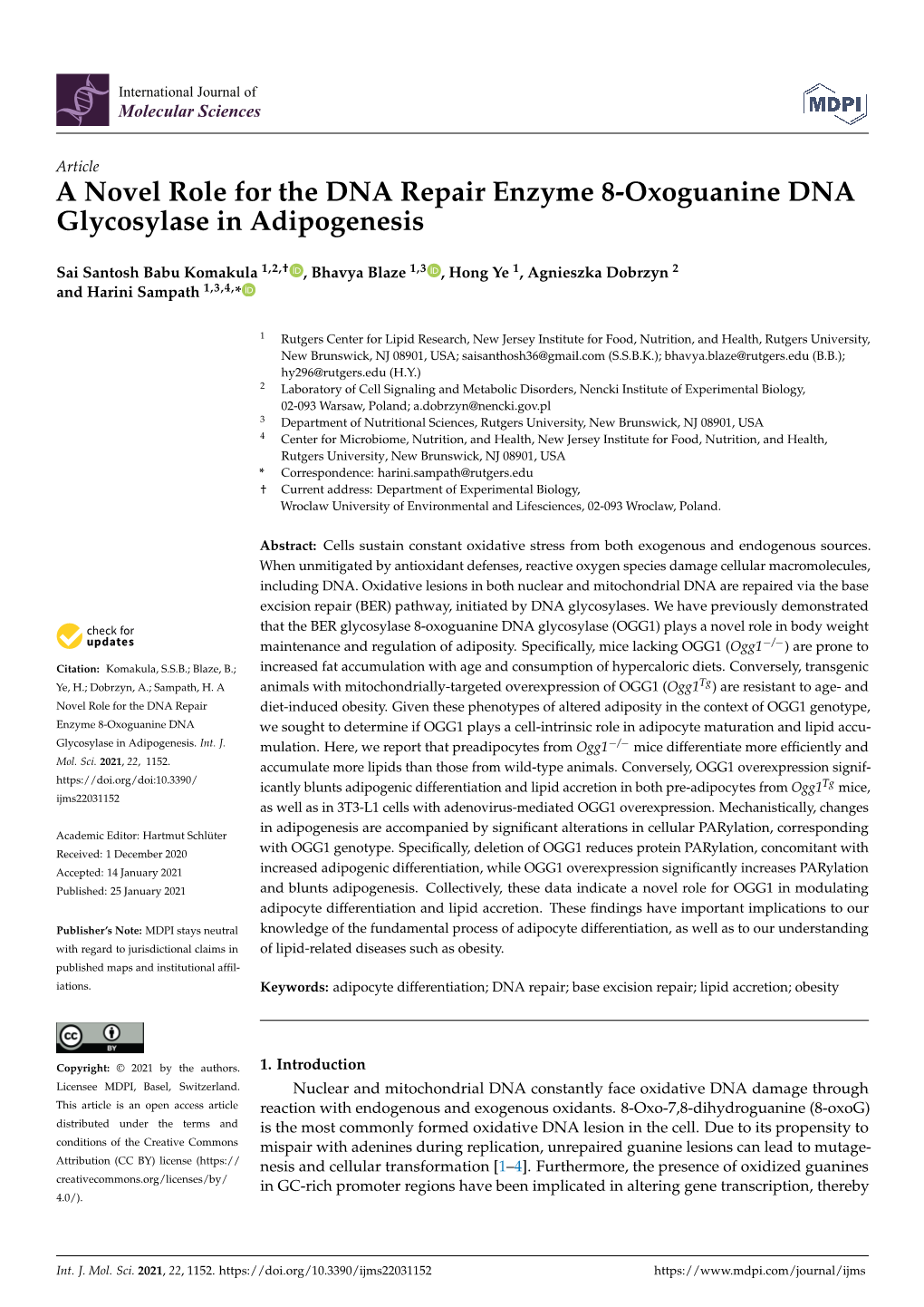 A Novel Role for the DNA Repair Enzyme 8-Oxoguanine DNA Glycosylase in Adipogenesis