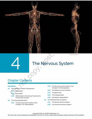 THE NERVOUS SYSTEM 95 Learning Objectives