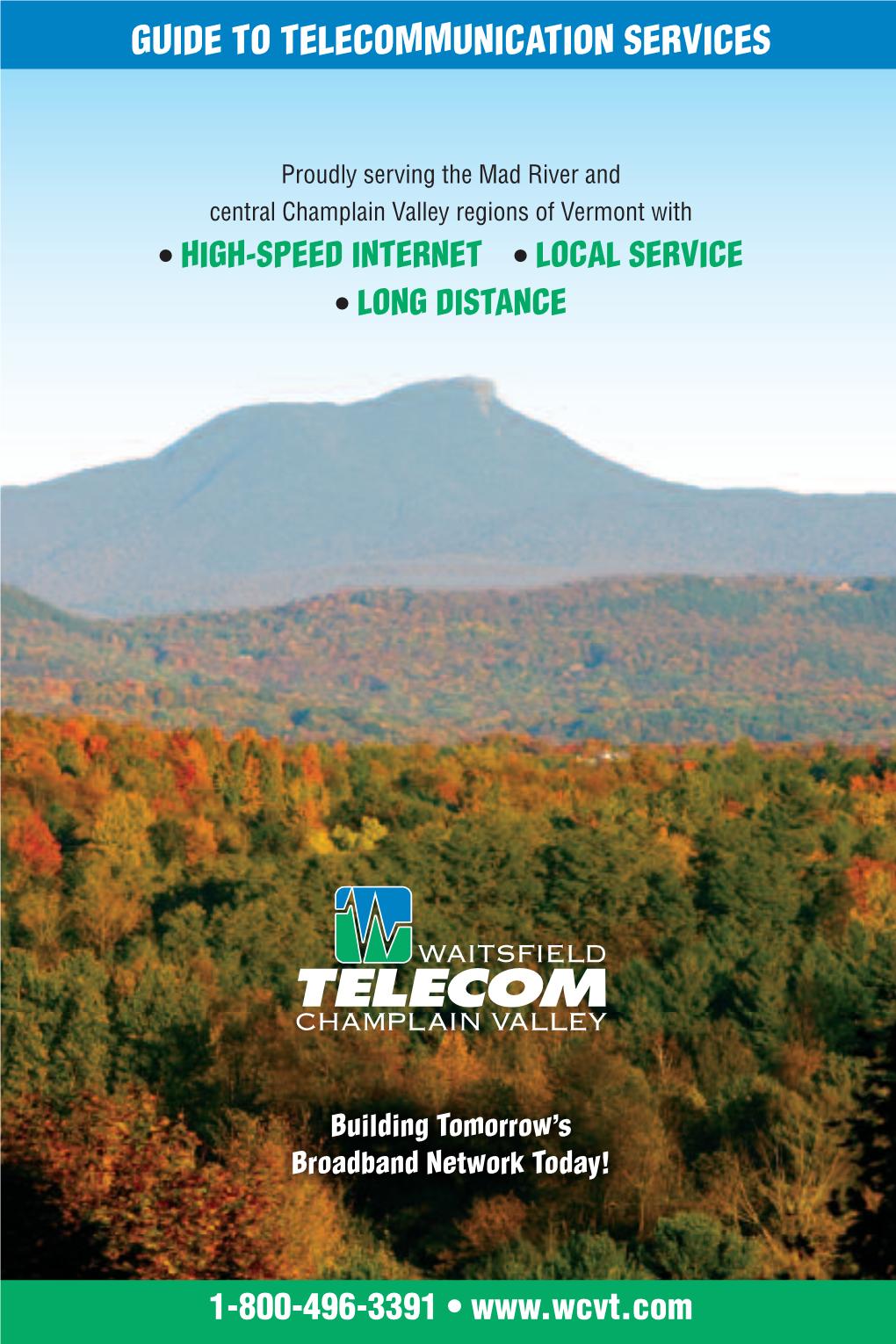 Guide to Telecommunication Services