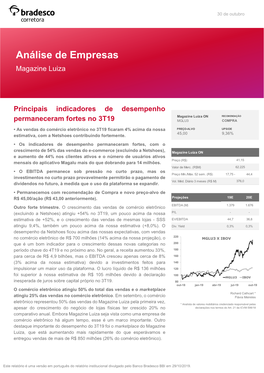 Análise De Empresas Magazine Luiza