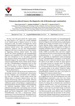 Cutaneous Adnexal Tumors: the Diagnostic Role of Dermatoscopic Examination