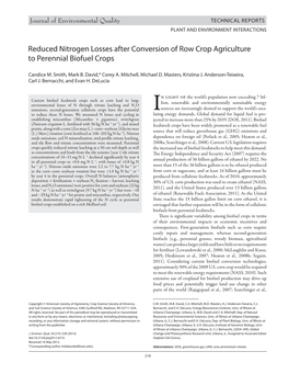 Reduced Nitrogen Losses After Conversion of Row Crop Agriculture to Perennial Biofuel Crops